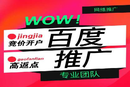 百度竞价排名服务在医疗行业的成功应用案例